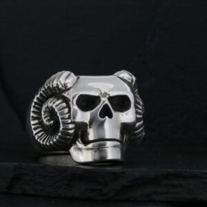 A silver skull with ram horns against a dark background.