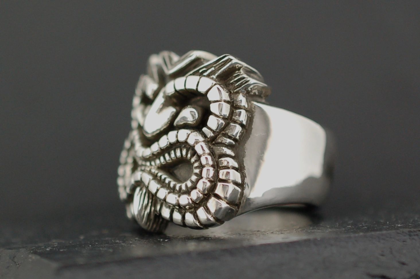 Close-up of a silver ring with a detailed, artistic snake design.
