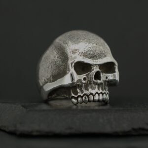 A detailed skull model on a dark surface.